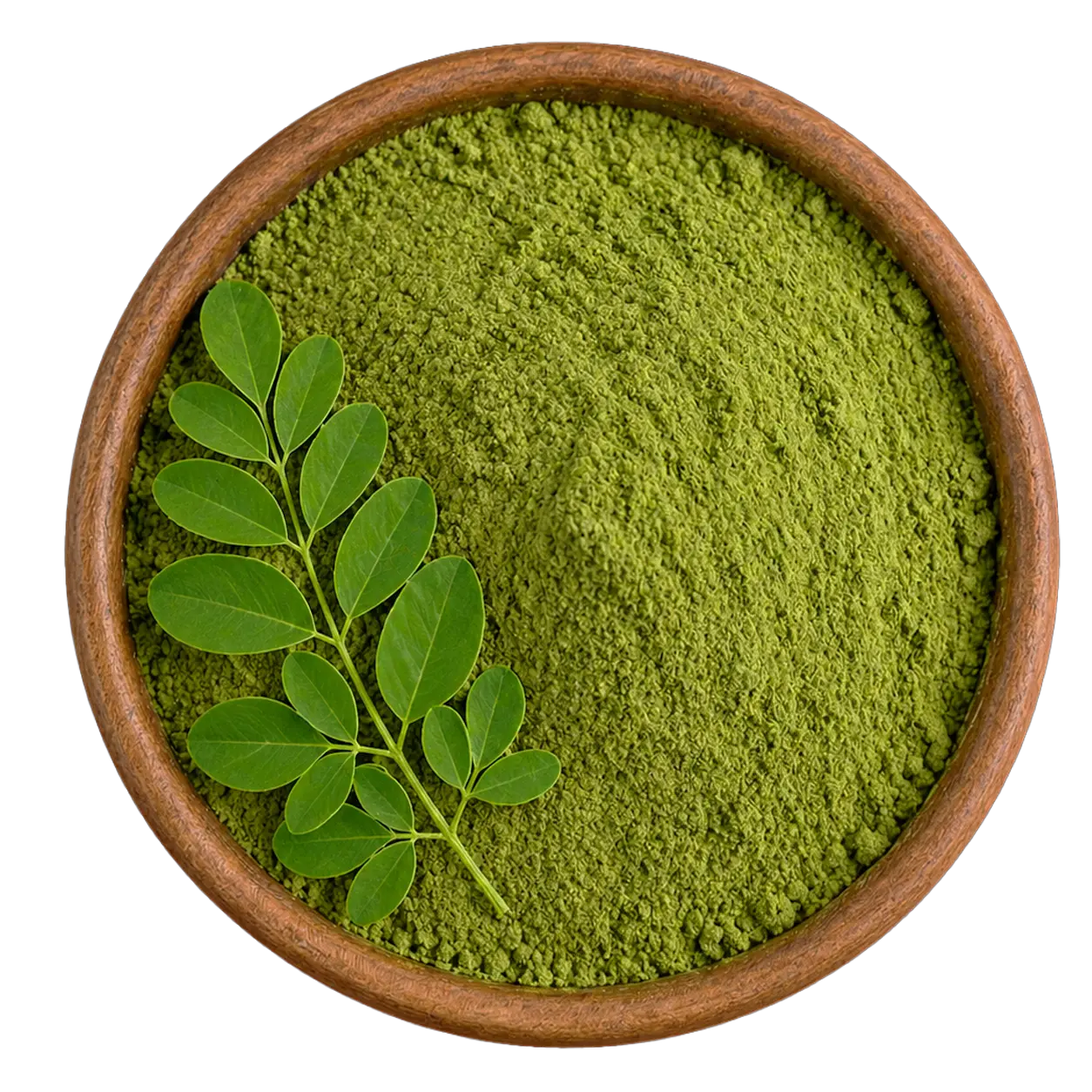 Moringa Powder